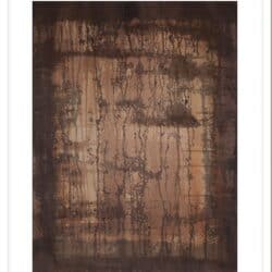 Limited Edition Print: Rainforest 4